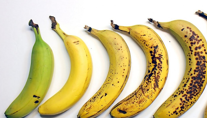 Bananas : डागी केळी खाणं कितपत सुरक्षित, खाण्याची योग्य वेळ काय? जाणून घ्या तुम्हाला माहिती नसलेल्या अनेक गोष्टी
