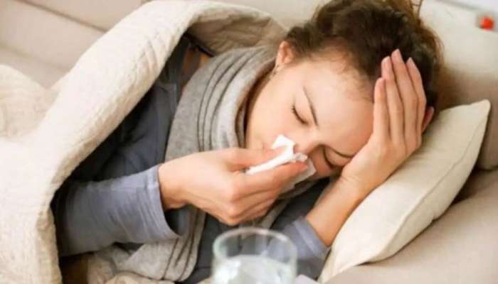 Remedies for Cold: थंडीत तुम्ही आजारी पडणार नाहीत; त्यासाठी आजच &#039;या&#039; 5 भाज्यांचा आहारात करा समावेश, असेही फायदे 