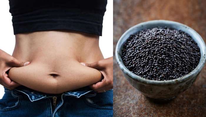 Weight Loss : आता वजन कमी करायचं टेन्शन सोडा, या बियांचे सेवनांने आजारही पळतील दूर