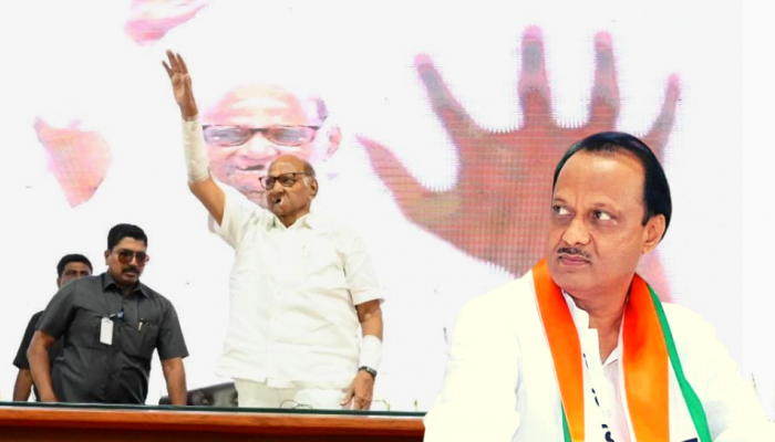 Sharad pawar: '...लवकरच संधी मिळेल', पवारांनी भाषण थोडक्यात आटोपलं, पण अजित पवारांची एकच चर्चा!