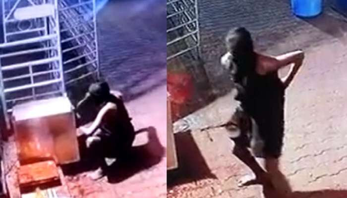 Video : चोरांनी देवालाही सोडले नाही, दानपेटी फोडण्याचा प्रयत्न CCTVत चित्रीत