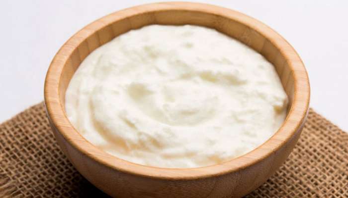 Curd Benefits: हिवाळ्यात दही खालल्यानं खरंच वजन कमी होतं? जाणून घ्या फायदे!