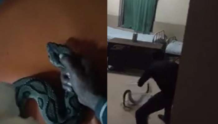 viral video: ooouch! सापाचं तोंड हातात पकडून रुग्णालयात पोहोचला तरूण... गावकऱ्यांची उडवली झोप