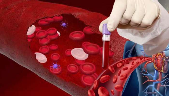 Blood News  : वैद्यकीय क्षेत्रातून सर्वात मोठी बातमी, लॅबमध्ये चक्क रक्त तयार 