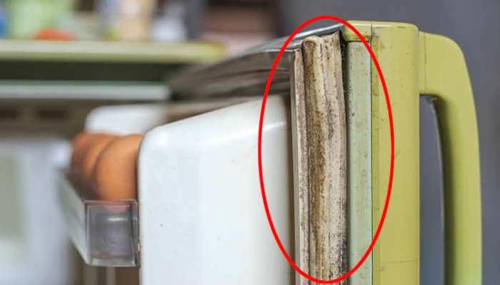 Cleaning Tips: फ्रिजचा रबर घाण झाला आहे? अशा पद्धतीने झटपट स्वच्छ करा