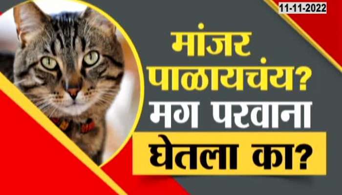 Cat Licence mandetory in Pune know full process how to apply and how to get licence
