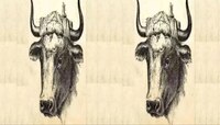 Optical Illusion: या फोटोमध्ये बैलाच्या मालकाला शोधून दाखवा, 10 सेकंदाची वेळ 
