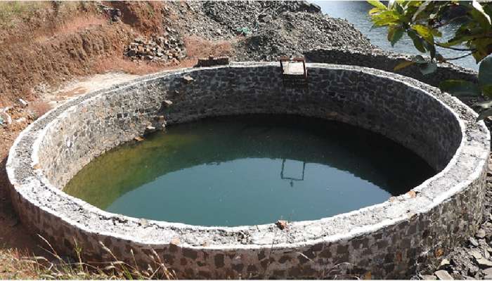 सलाम त्याच्या धाडसाला! 'ती' बुडत असल्याचं पाहून 11 वर्षांच्या मुलाने थेट विहिरीत उडी मारली