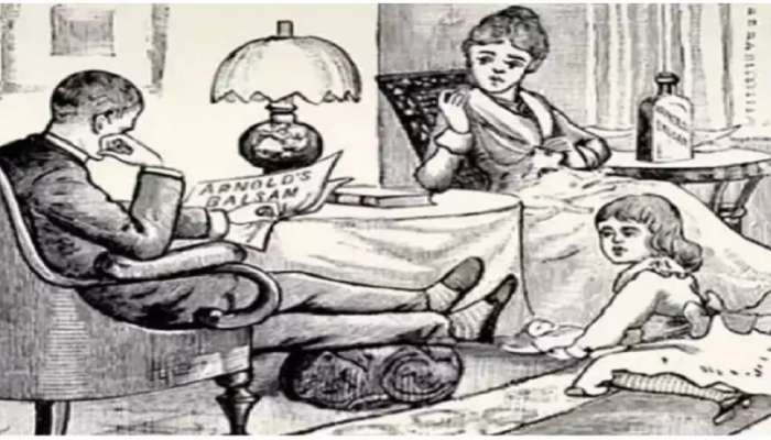 Optical Illusion : 'या' फोटोत शोधून दाखवा 2 मांजरी, तुमच्याकडे 30 सेकंदाची वेळ