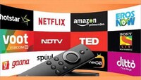 OTT चं सबस्क्रिप्शन नसलं तरी 'या' प्लॅटफॉर्मवर मोफत पाहता येणार Webseries