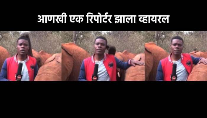 Viral Video : पाकिस्तानी चाँद नवाबनंतर आता &#039;हा&#039; रिपोर्टर झाला व्हायरल, पहा त्यासोबत घडलं काय?