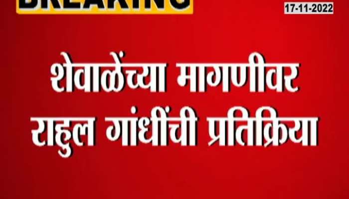 Bharat Jodo Yatra will stop in maharashtra 