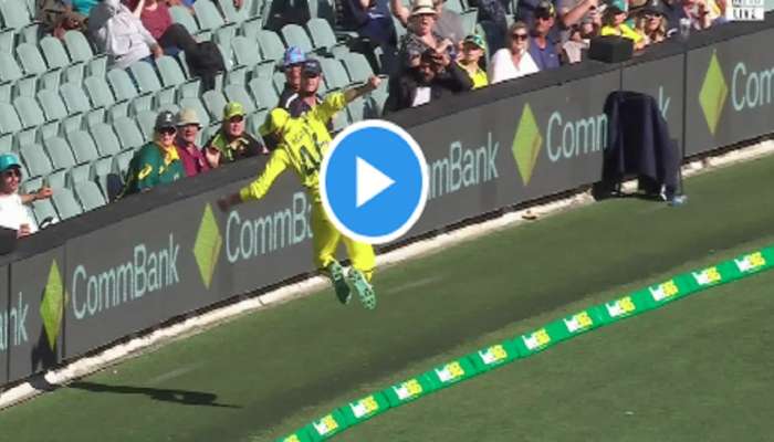 ENG vs AUS :ऑस्ट्रेलियन खेळाडूची बॉऊन्ड्री लाईनवर अप्रतिम फिल्डींग, VIDEO आला समोर  