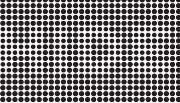 Optical Illusion: &#039;या&#039; फोटोत लपलेले 3 इंग्रजी शब्द शोधून दाखवा, तुमच्याकडे 30 सेकंदाची वेळ