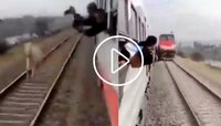 Horse Video: घोडा रेल्वे रूळावर धावत होता, तेवढ्यात समोरून आली दुसरी ट्रेन अन्...