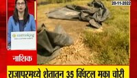 Corn Theft | नाशिकात चक्क 35 क्विंटल मका गेला चोरीला 