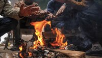 Cold Wave : अरेच्चा! मनालीहून राज्याच्या 'या' भागात जास्त थंडी; तापमानातील फरक मोठा