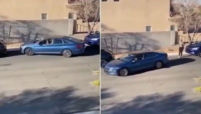 Video : दोन महिला जेव्हा कार पार्क करतात त्यानंतर पुढे जे होतं...