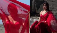 Sofia Ansari : सोफिया अन्सारीचा बोल्ड अंदाज, VIDEO आला समोर 