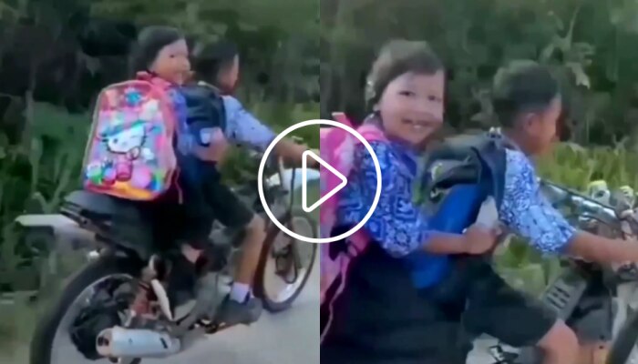 Trending Video: स्कूल चलें हमsss, प्रत्येक भावा बहिणीने पाहावा असा व्हिडीओ!