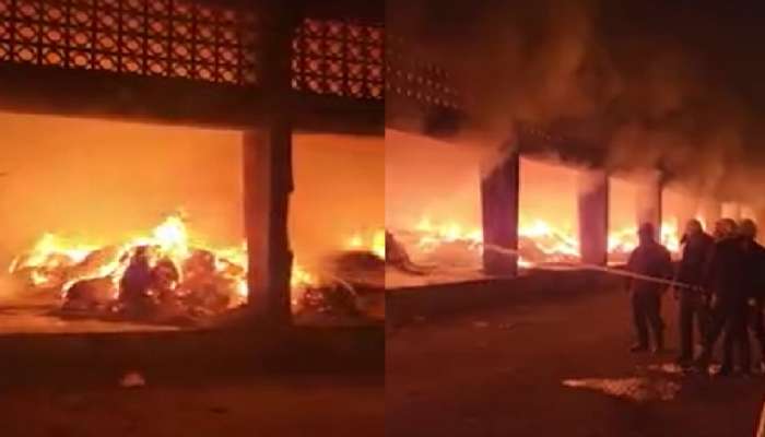 Nagpur News: मिरचीच्या बाजारात पडली आगीची ठिणगी... कोट्यावधींचं नुकसान 