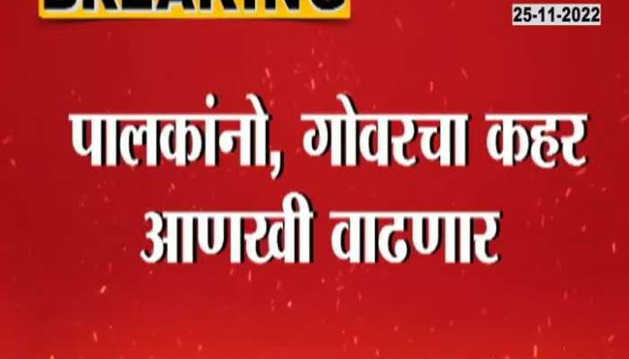 Parents beware, see "November-March Season of Contagion for Measles," says Dr. Pradeep returned