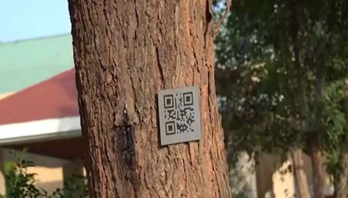 टॉकिंग ट्री! झाडं देणार स्वत:ची माहिती