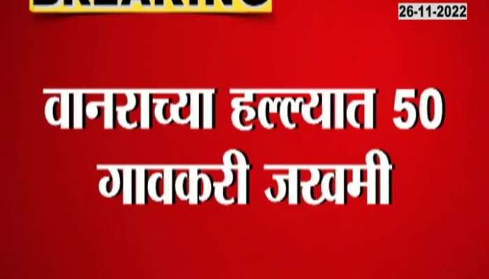 Latur Monkey Rampage In Sonkhed Village