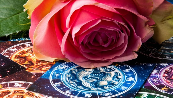 Astrology: गुलाब आणि ज्योतिशविद्या यांचा संबंध काय? वाचून नि:शब्द व्हाल 