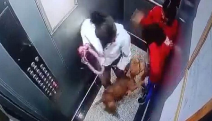  Video : लिफ्टमध्ये लहान मुलांवर कुत्र्याचा हल्ला अन्...