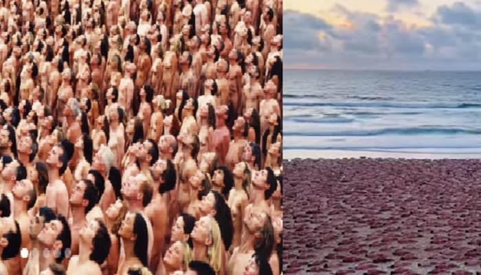 Video : समुद्रकिनाऱ्यावर 2500 लोक झाली Nude, कारण ऐकून बसेल धक्का
