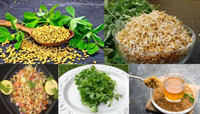 Fenugreek Seeds Benefits: हिवाळ्यात कोलेस्ट्रॉल ते मधुमेह सारख्या अनेक समस्यांना ही वस्तू ठेवते नियंत्रित