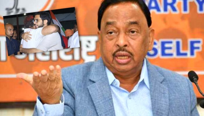 Narayan Rane: &#039;आदित्य ठाकरे हे तर पिल्लू, राहुल गांधी कानात म्हणाले...&#039;; राणेंची शेलक्या शब्दात टीका!