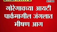 Mumbai | दिंडोशी भागातील आयटीपार्कजवळ भीषण आग