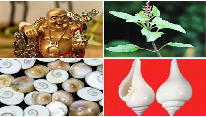 नवीन वर्ष 2023 सुरु होण्यापूर्वी घरात आणा 'या' वस्तू, तुमचं नशीब चमकेल