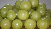 Amla Side Effects: 'हे' आजार असलेल्या लोकांनी चुकूनही खाऊ नये आवळा, अन्यथा...