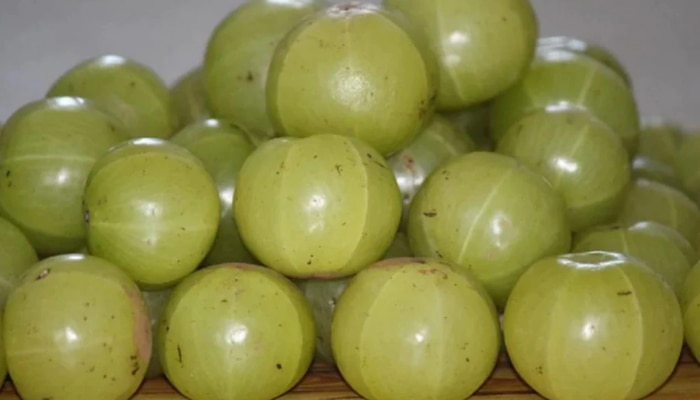 Amla Side Effects: &#039;हे&#039; आजार असलेल्या लोकांनी चुकूनही खाऊ नये आवळा, अन्यथा...