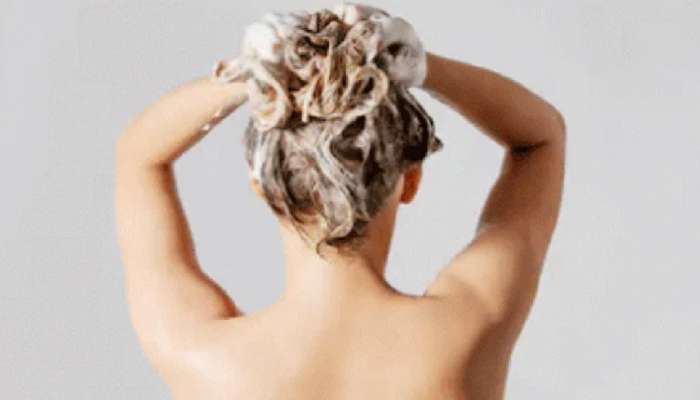 Hair Tips: लांब आणि दाट केस मिळवण्यासाठी &#039;ही&#039; घरगुती मेहेंदी करेल मदत, जाणून घ्या कशी वापराल?