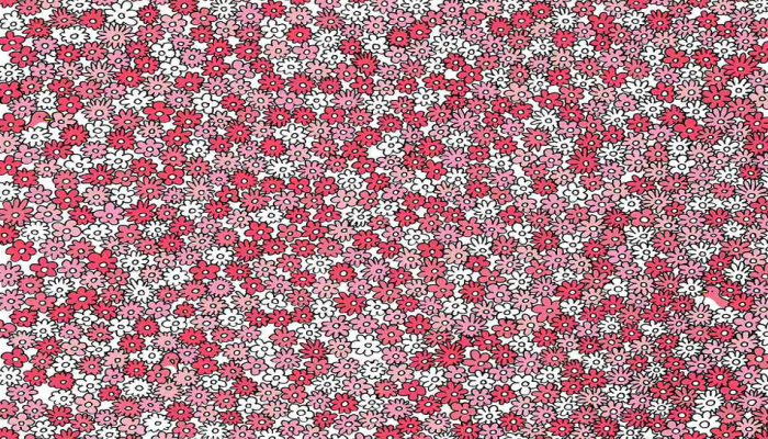 Optical Illusion: 'या' फोटोत लपलेले तारे शोधून दाखवा, तुमच्याकडे 20 सेकंदाची वेळ
