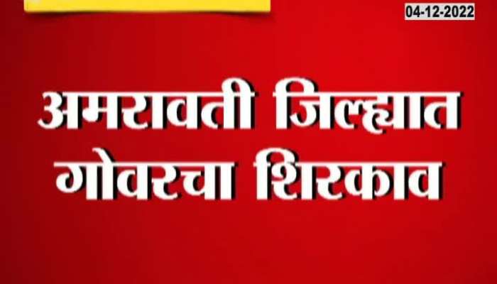 Amravati residents beware! Infiltration of measles, so many patients found