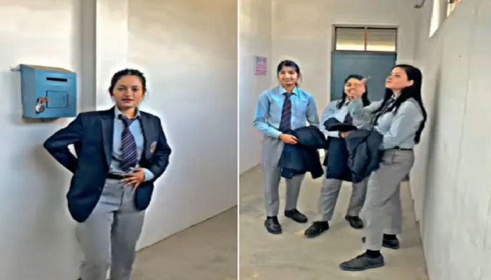 Girl Video : काय ती अदा, काय ते स्टेप, काय ती स्माईल.., मुलींची अदा पाहून नेटकरी घायाळ 
