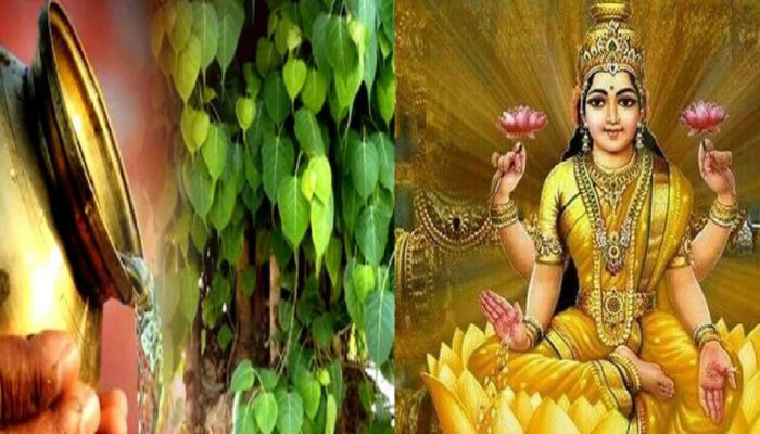 Astro Tips:  डिसेंबर महिन्यात 'हे' उपाय केल्याने माता लक्ष्मीची होईल कृपा...