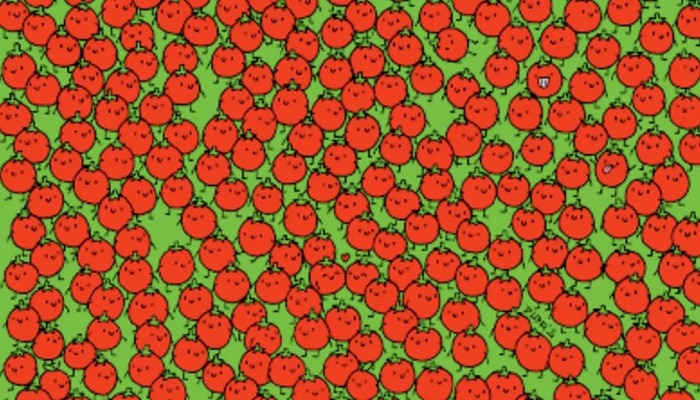 Optical Illusion: टॉमेटोमध्ये लपलेत 3 सफरचंद, 20 सेकंदात शोधून दाखवा