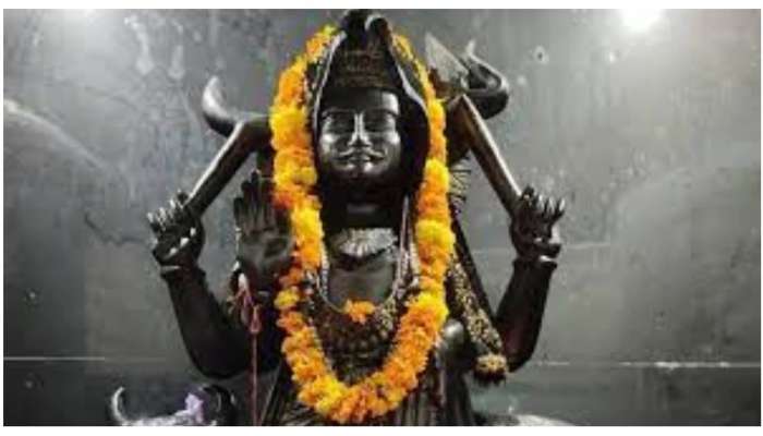 Shani Dev: घरात शनिदेवांची प्रतिमा का ठेवत नाही? जाणून घ्या यामागचं कारण