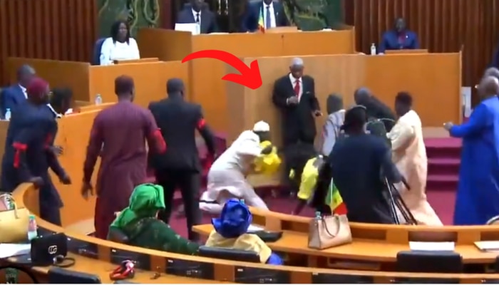 Senegal Video: संसदेत तुफान राडा, महिला खासदारावर उचलला हात अन् सुरू झाली फ्री स्टाईल हाणामारी!