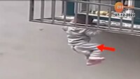 Shocking Video : तुमची लहान मुलं खिडकीत खेळतायत? 