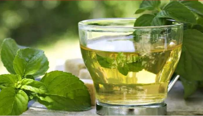 Green Tea पिताय ? सावधान ! ग्रीन टी आरोग्यासाठी धोकादायक, अहवालात धक्कादायक माहिती