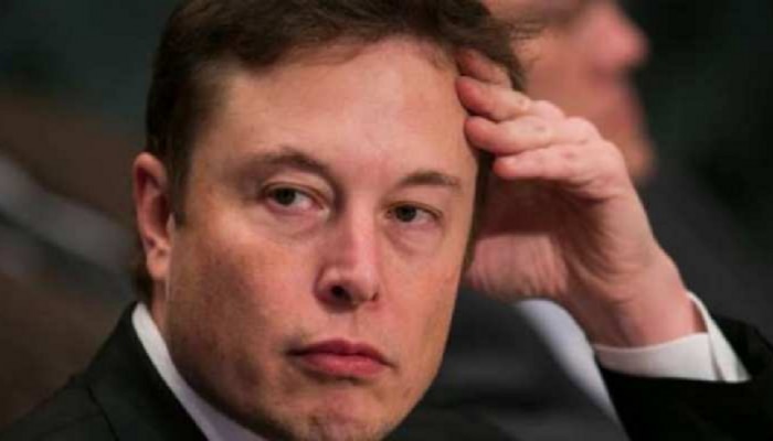 Elon Musk यांच चाललयं काय? अमेरिकेच्या प्रयोग शाळेत होतात 11 कोटी मृत्यू