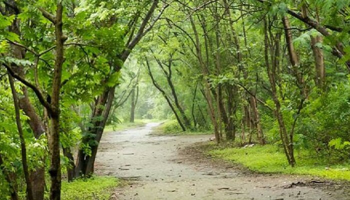 दुसऱ्यांच्या मैत्रिणीबरोबर कशाला फिरतोस? पुण्यात टेकडिवर फिरायला गेल्या तरुणाला संपवलं