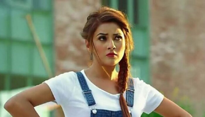 कोण होतीस तू, काय झालीस तू, सेलिब्रिटी बनल्यावर Shehnaaz Gil चा attitude पाहून चाहते संतापले